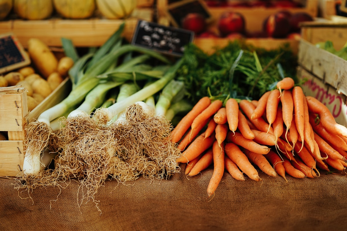 Ricette salutari e pasti nutrienti